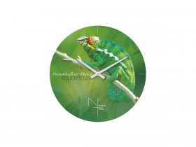 Часы настенные Nicole Time NT503 в Новоцелинном - novocelinnoe.mebel-nsk.ru | фото